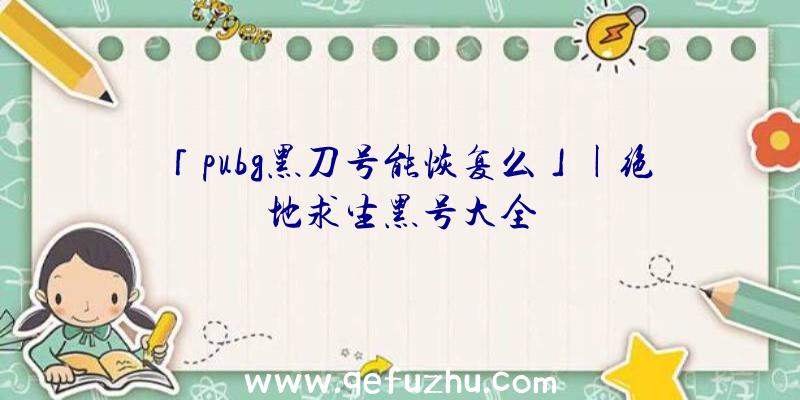 「pubg黑刀号能恢复么」|绝地求生黑号大全